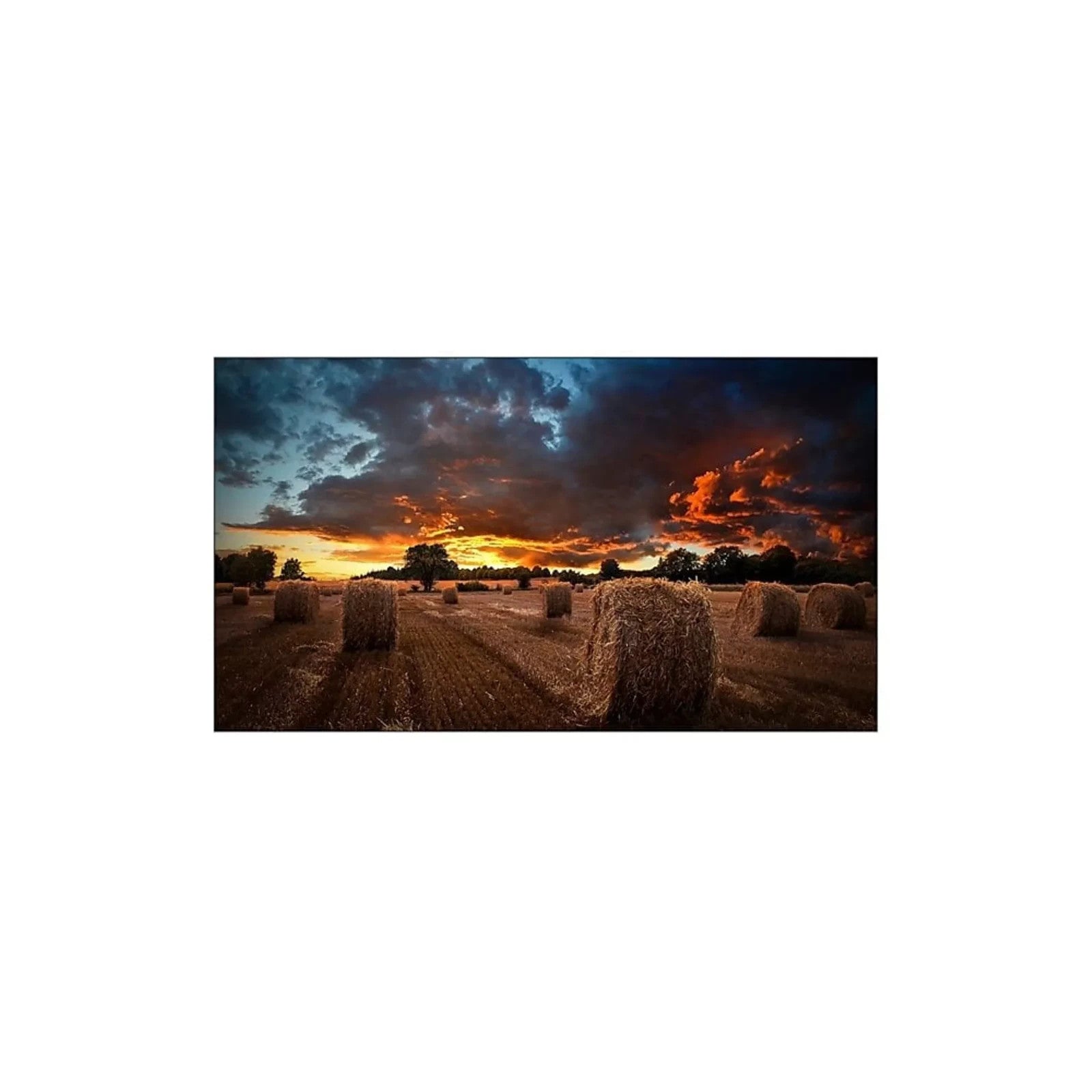 Samsung 460Ex 46 inch Led Widescreen Monitor Black Lh46Lbplbc/En1